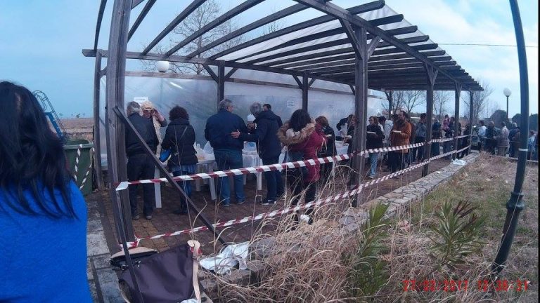 20770283_167619277117729_7682052864242900463_n